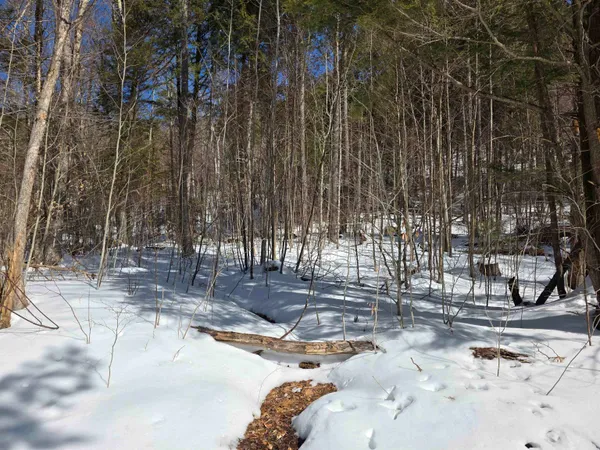 $500,000 | 0 Turkey Mountain Road, Jamaica, VT 05343