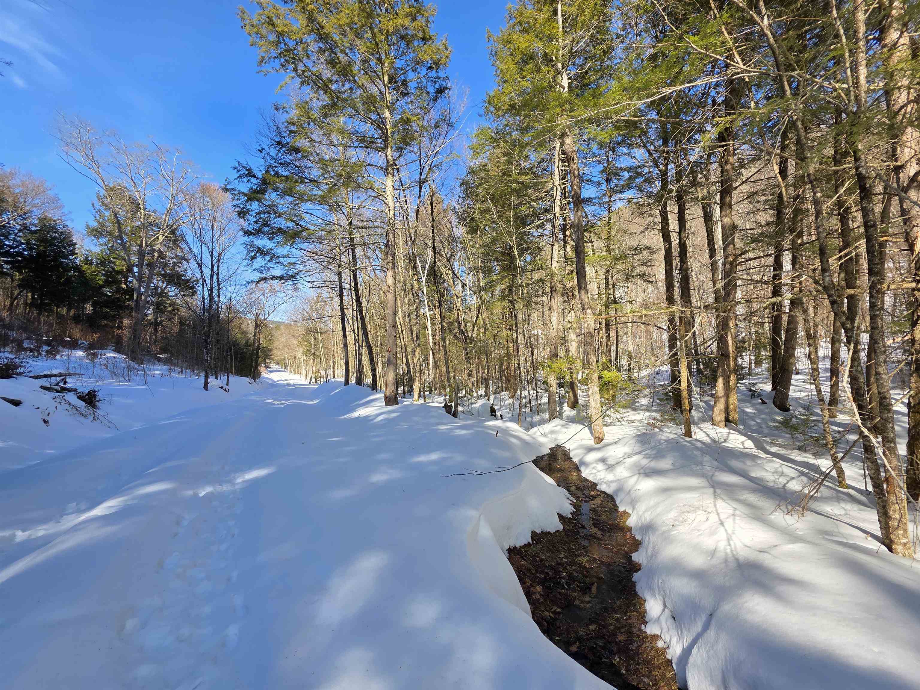 0 Turkey Mountain Road Jamaica, VT 05343 - Photo 17 of 26