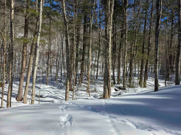 $500,000 | 0 Turkey Mountain Road, Jamaica, VT 05343