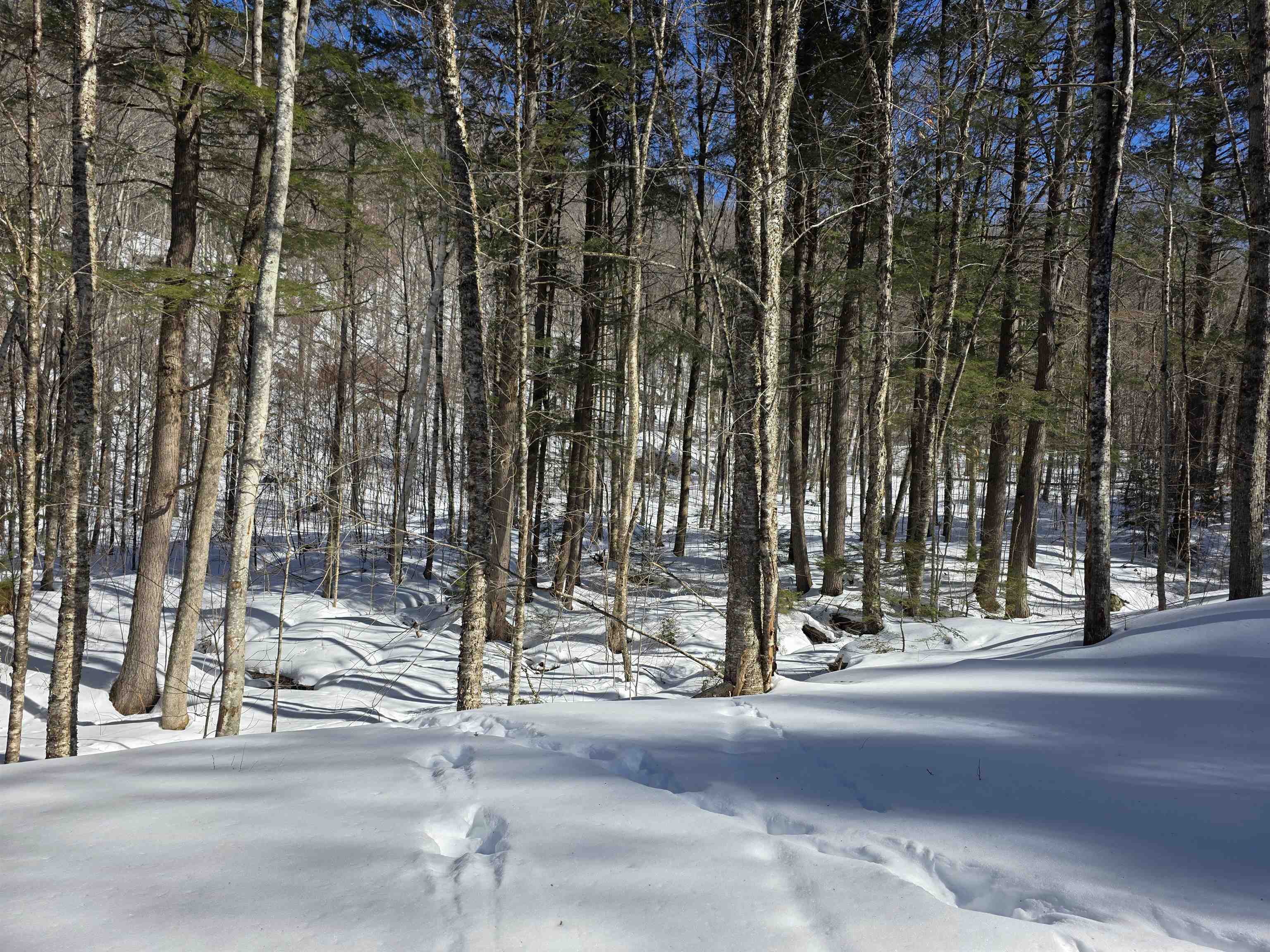 0 Turkey Mountain Road Jamaica, VT 05343 - Photo 18 of 26