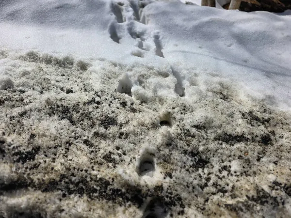 $500,000 | 0 Turkey Mountain Road, Jamaica, VT 05343