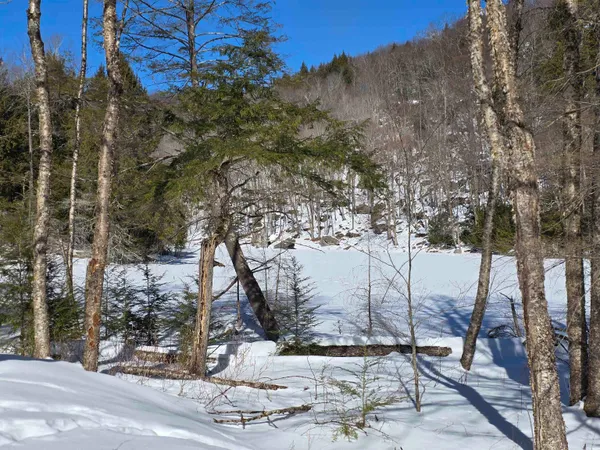 $500,000 | 0 Turkey Mountain Road, Jamaica, VT 05343