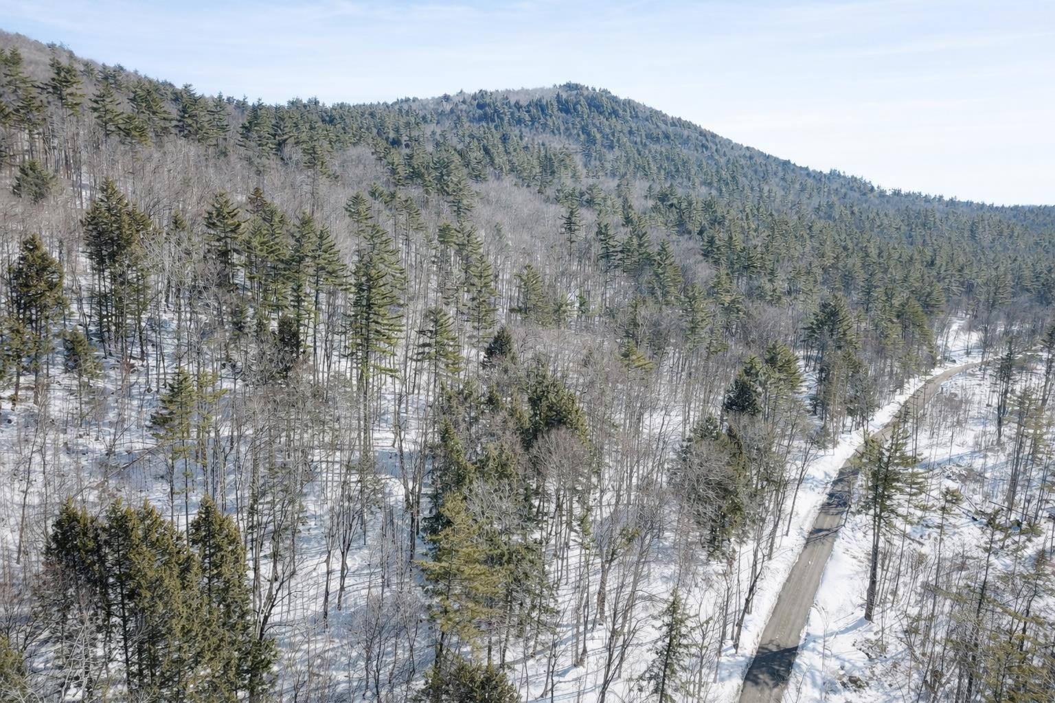 0 Turkey Mountain Road Jamaica, VT 05343 - Photo 2 of 26