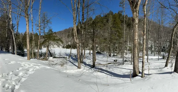 $500,000 | 0 Turkey Mountain Road, Jamaica, VT 05343