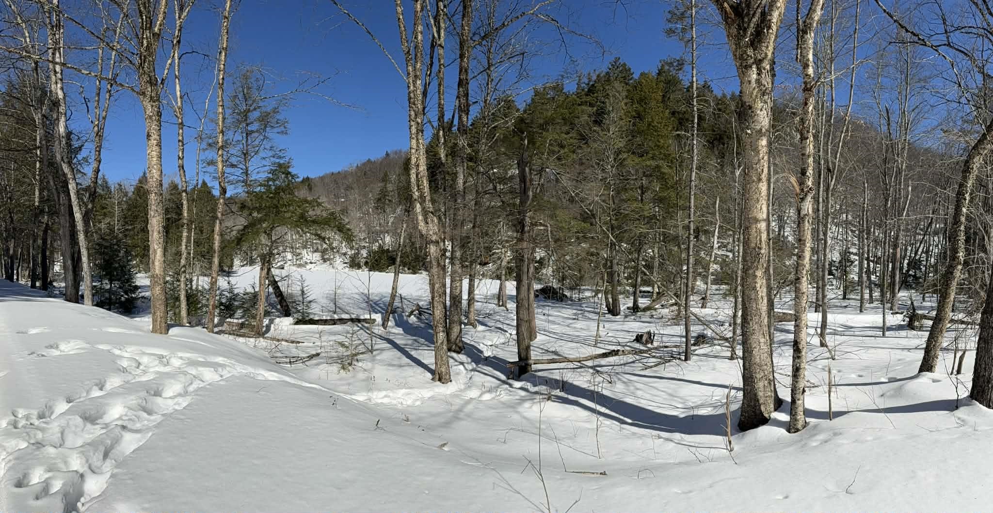 0 Turkey Mountain Road Jamaica, VT 05343 - Photo 21 of 26