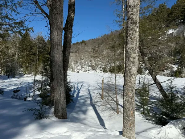 $500,000 | 0 Turkey Mountain Road, Jamaica, VT 05343