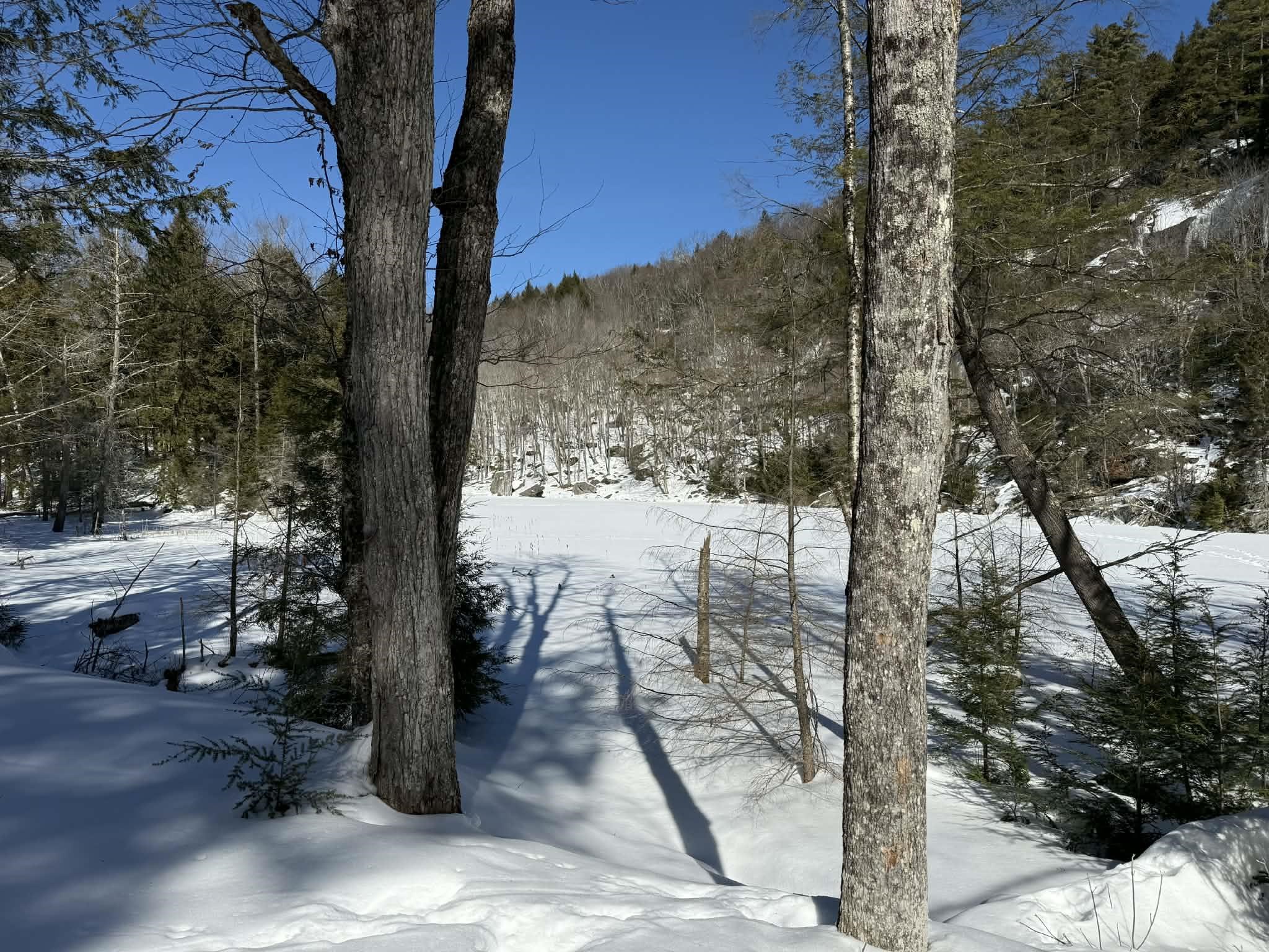 0 Turkey Mountain Road Jamaica, VT 05343 - Photo 22 of 26