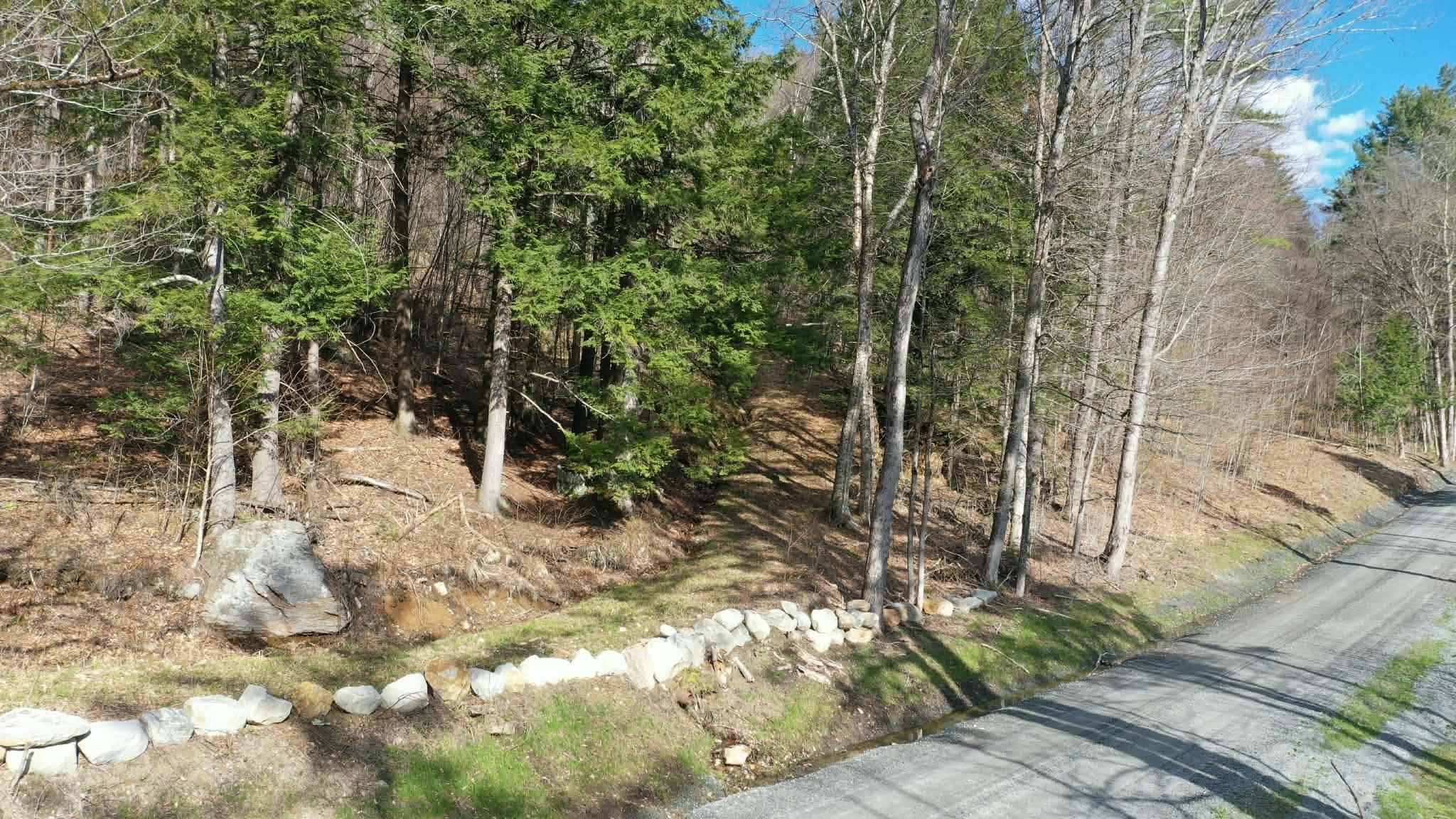 0 Turkey Mountain Road Jamaica, VT 05343 - Photo 22 of 49