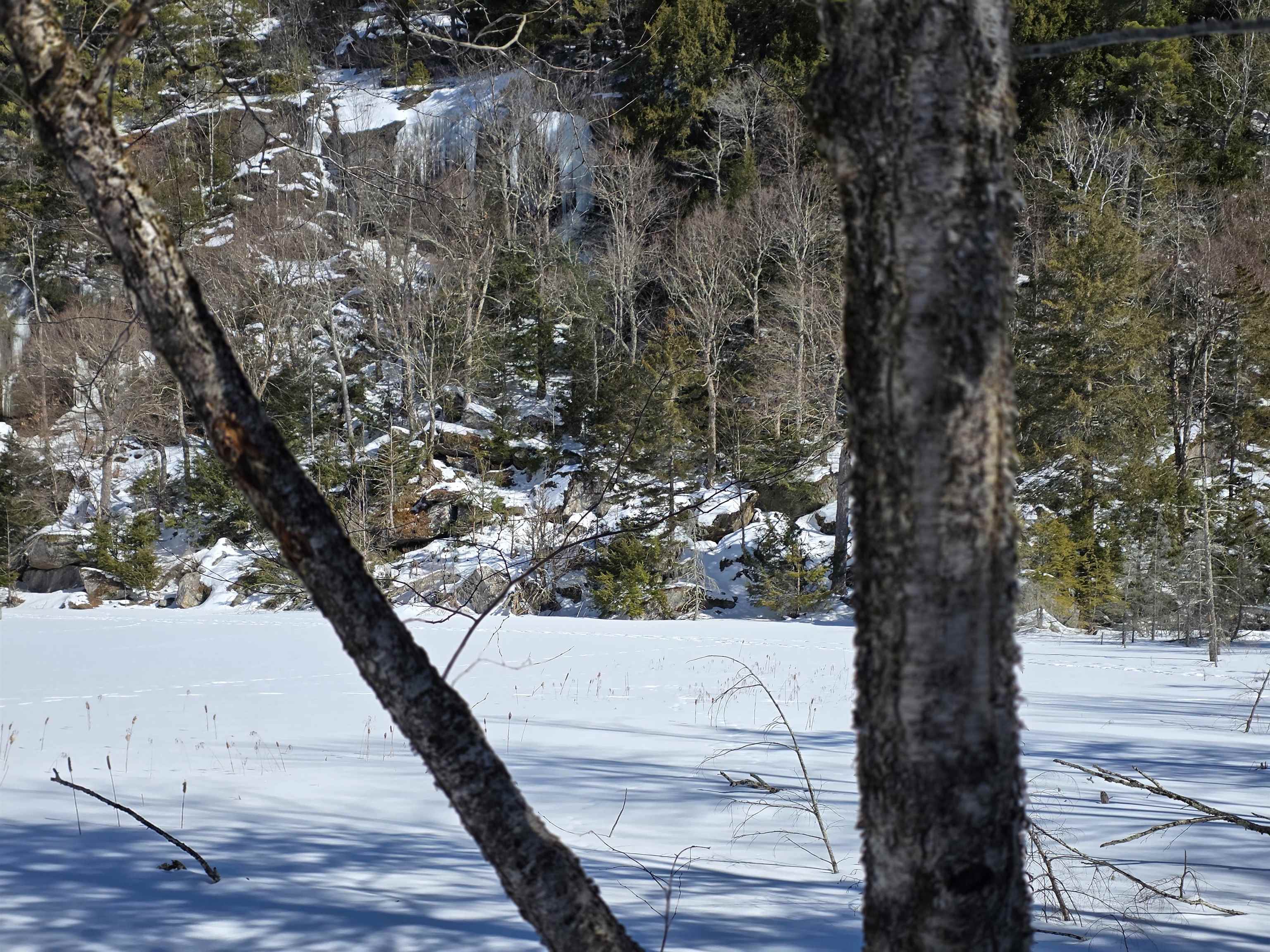 0 Turkey Mountain Road Jamaica, VT 05343 - Photo 24 of 26