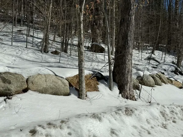 $500,000 | 0 Turkey Mountain Road, Jamaica, VT 05343