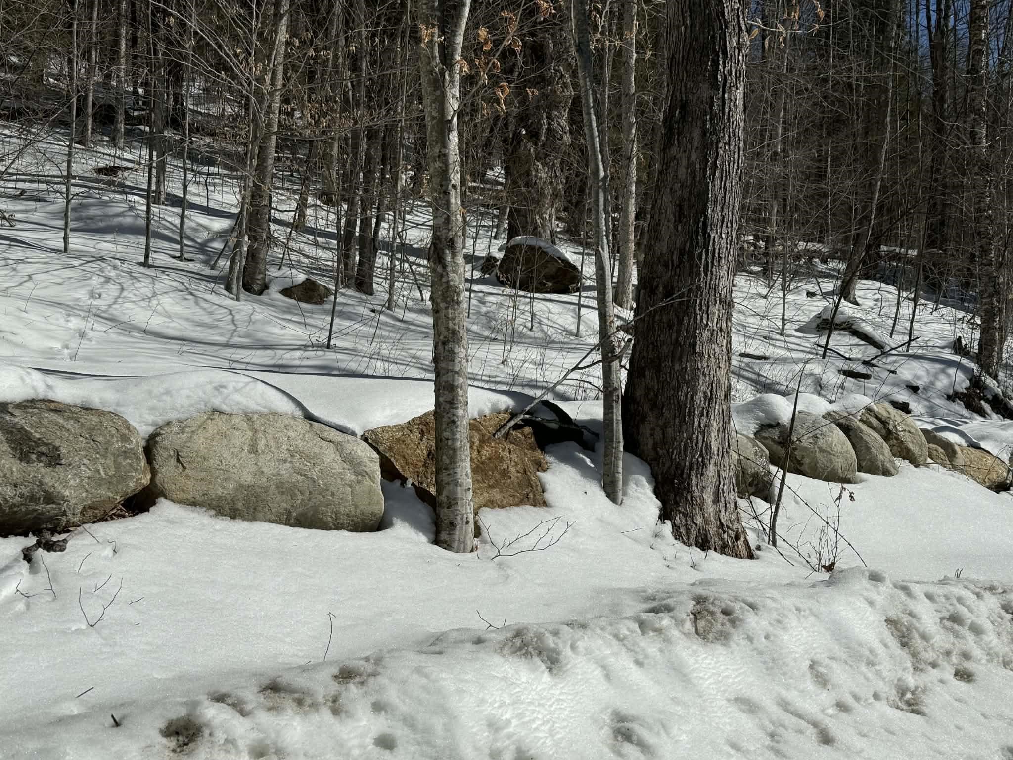 0 Turkey Mountain Road Jamaica, VT 05343 - Photo 25 of 26
