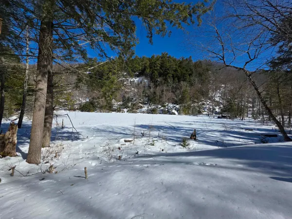 $500,000 | 0 Turkey Mountain Road, Jamaica, VT 05343