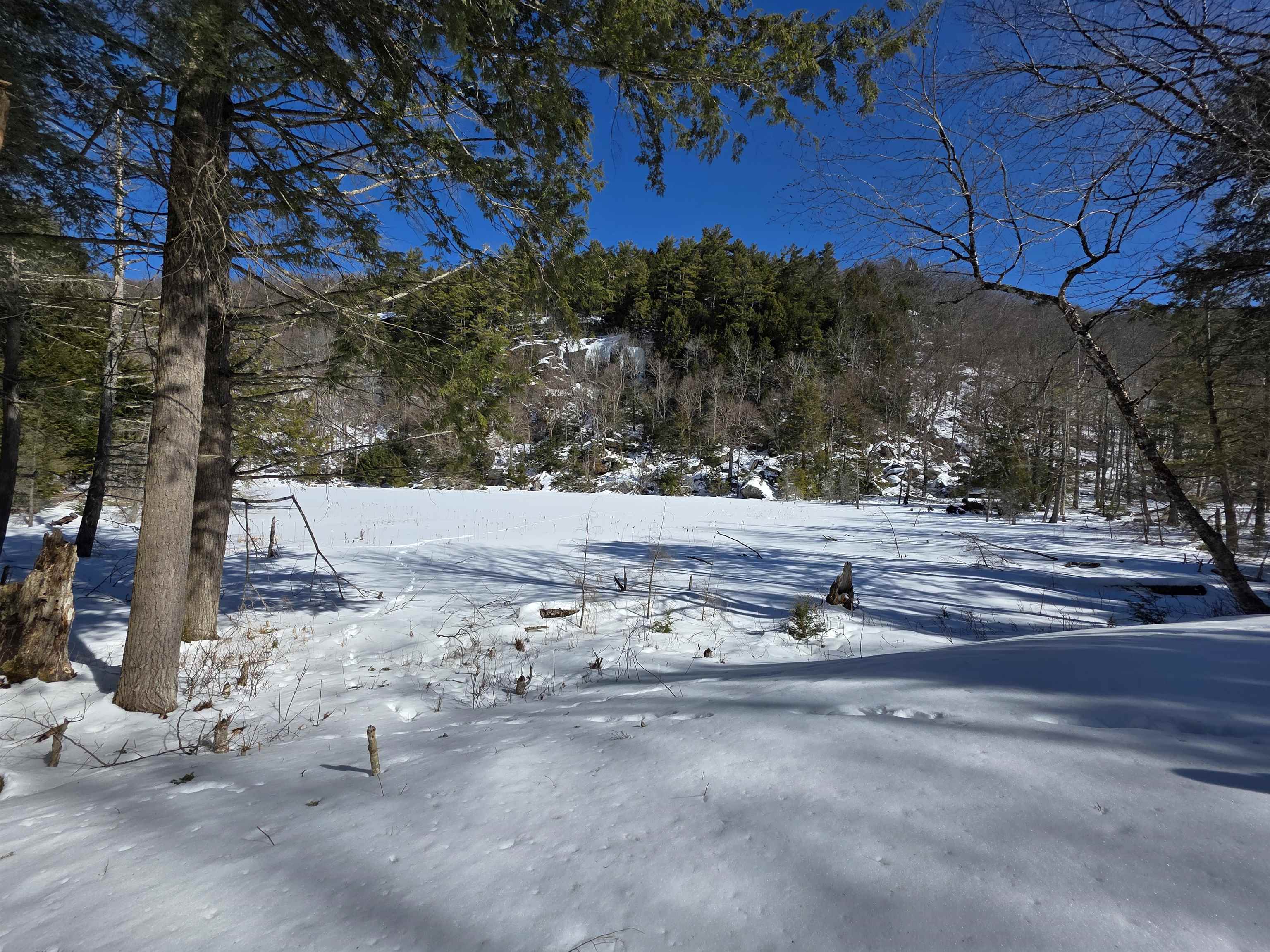 0 Turkey Mountain Road Jamaica, VT 05343 - Photo 3 of 26