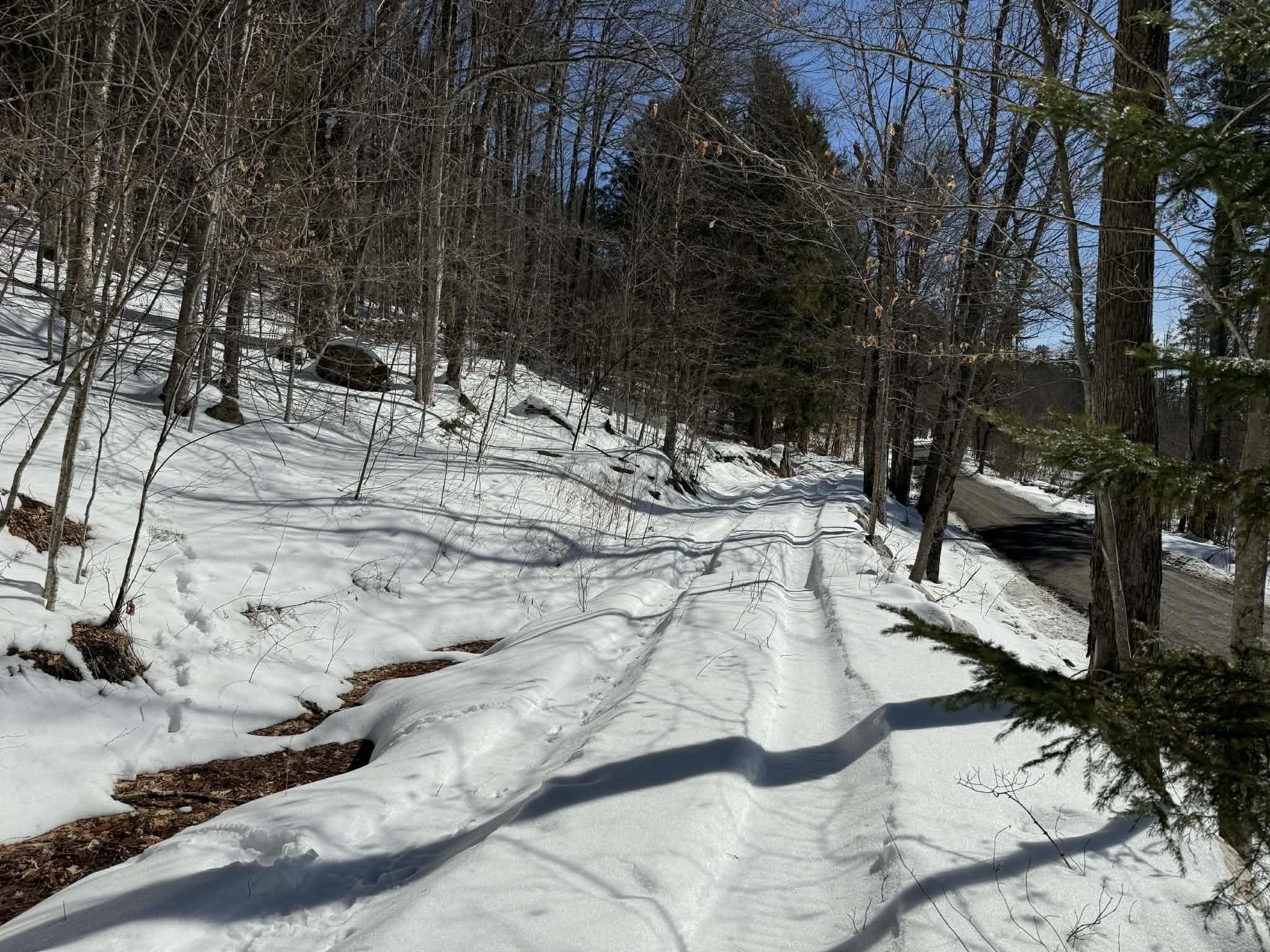 0 Turkey Mountain Road Jamaica, VT 05343 - Photo 31 of 49