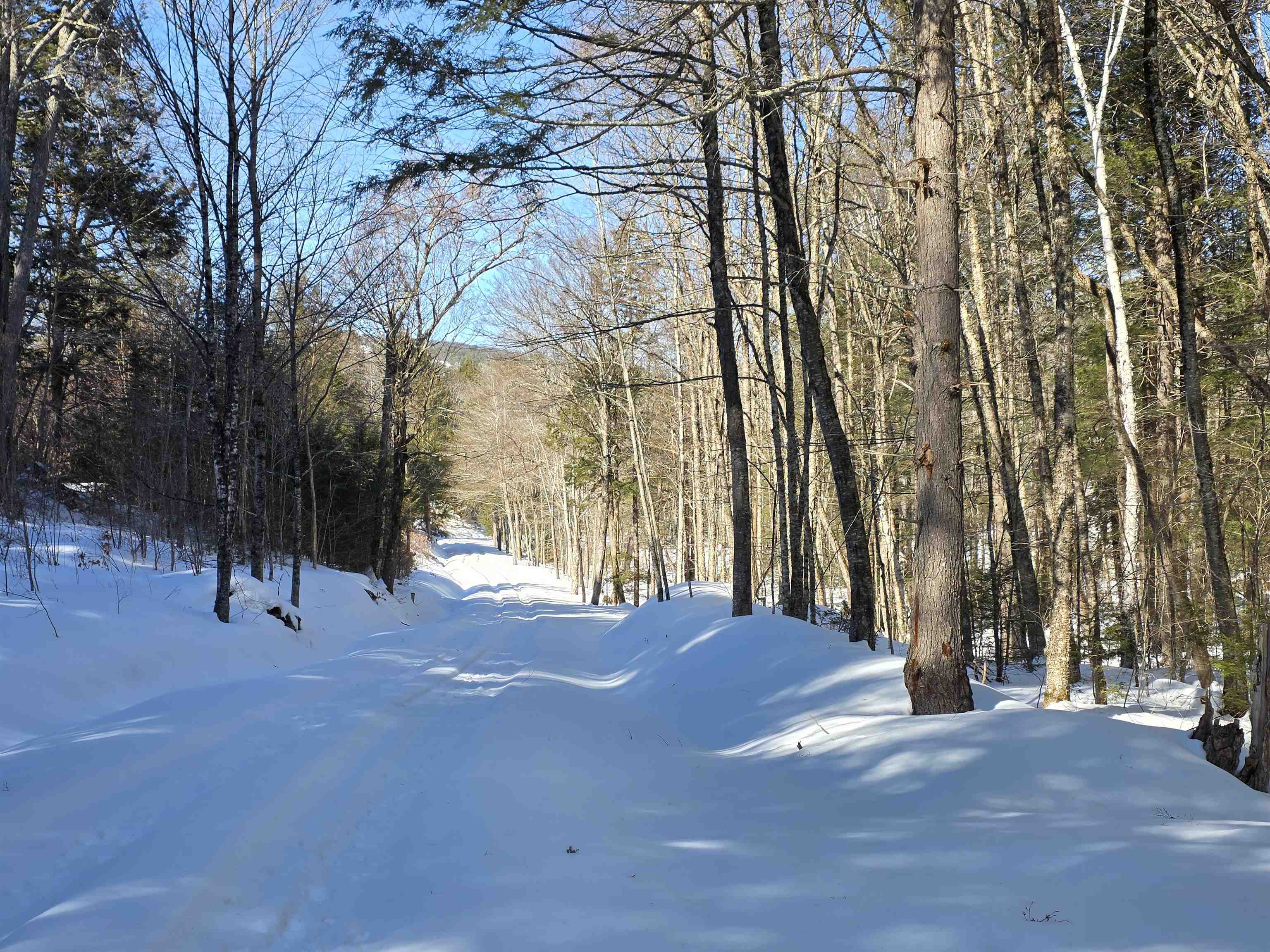 0 Turkey Mountain Road Jamaica, VT 05343 - Photo 5 of 26