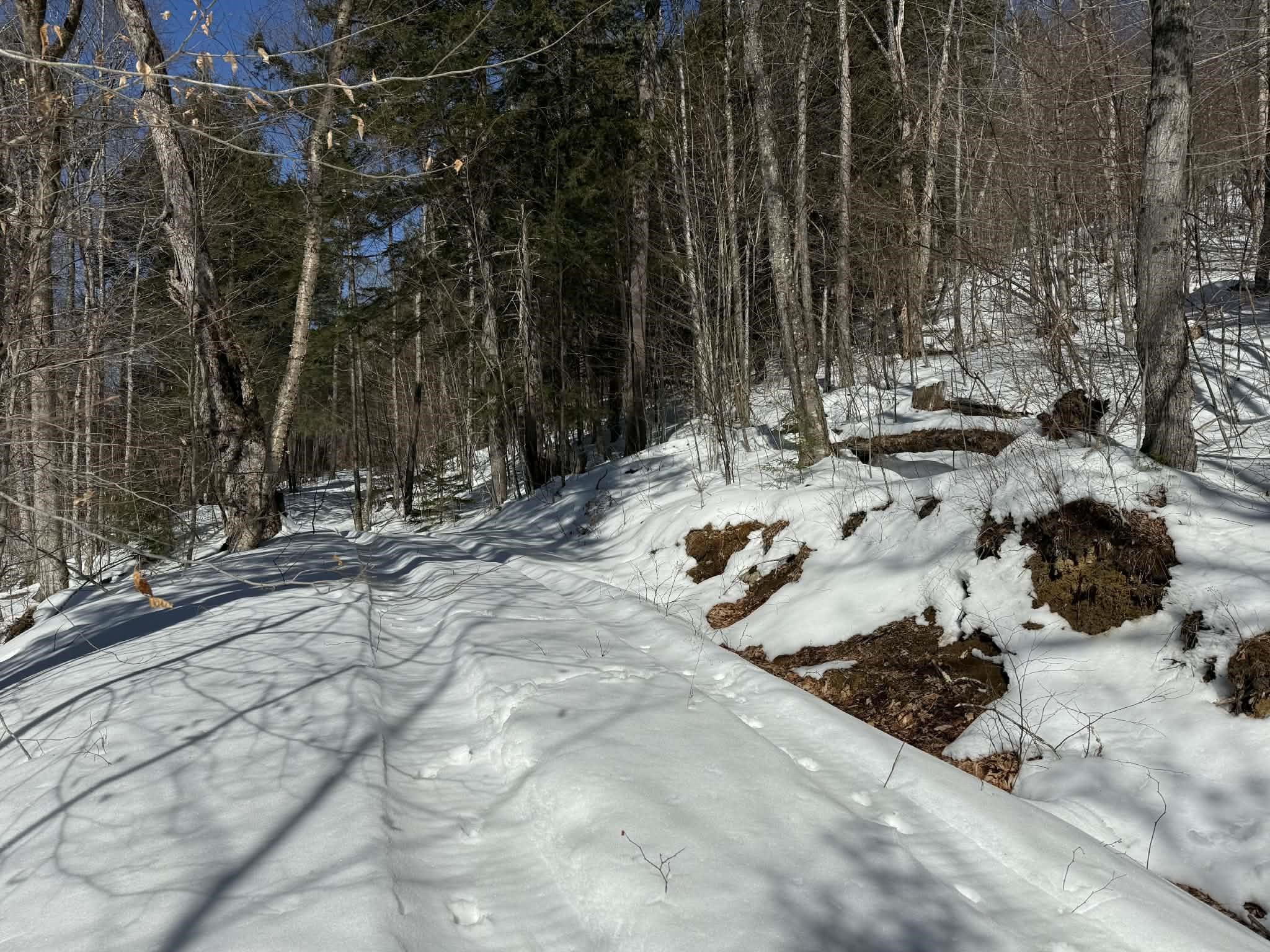 0 Turkey Mountain Road Jamaica, VT 05343 - Photo 6 of 26