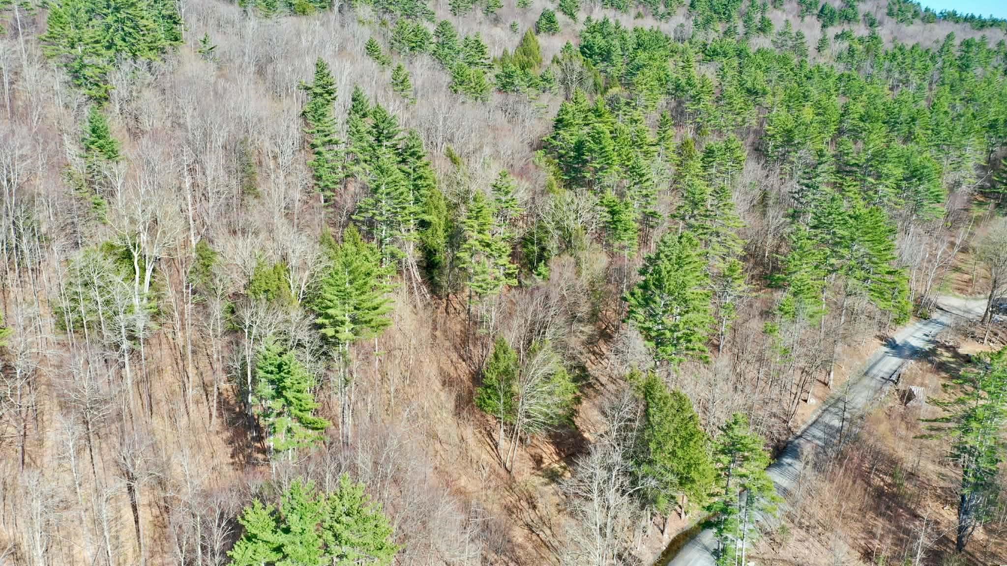 0 Turkey Mountain Road Jamaica, VT 05343 - Photo 6 of 49