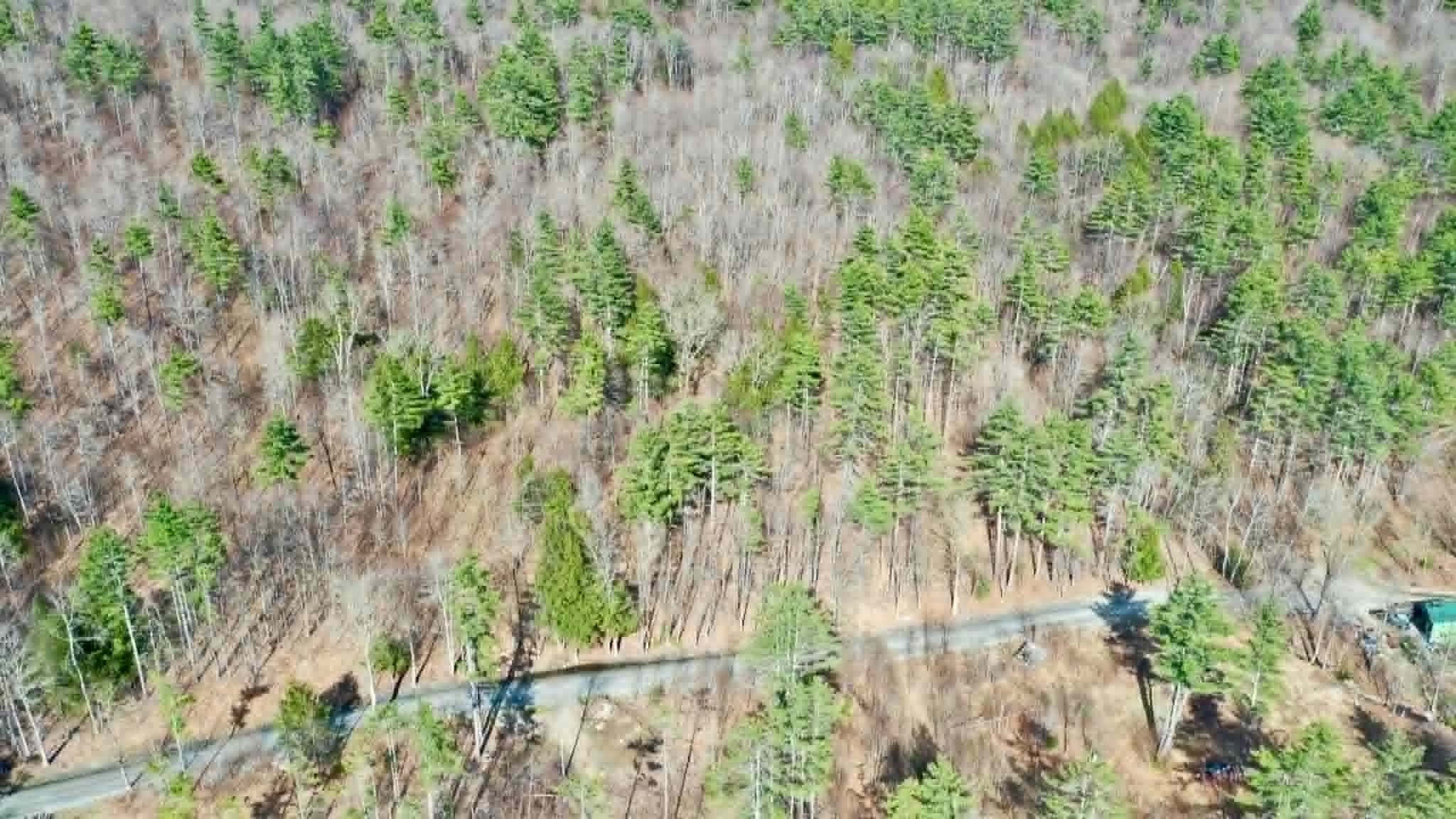 0 Turkey Mountain Road Jamaica, VT 05343 - Photo 7 of 49