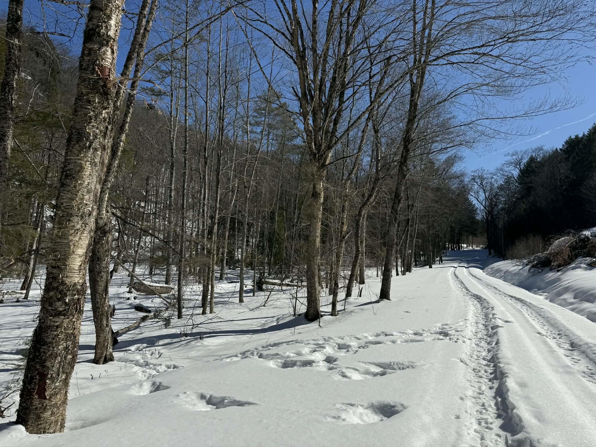 0 Turkey Mountain Road Jamaica, VT 05343 - Photo 8 of 26
