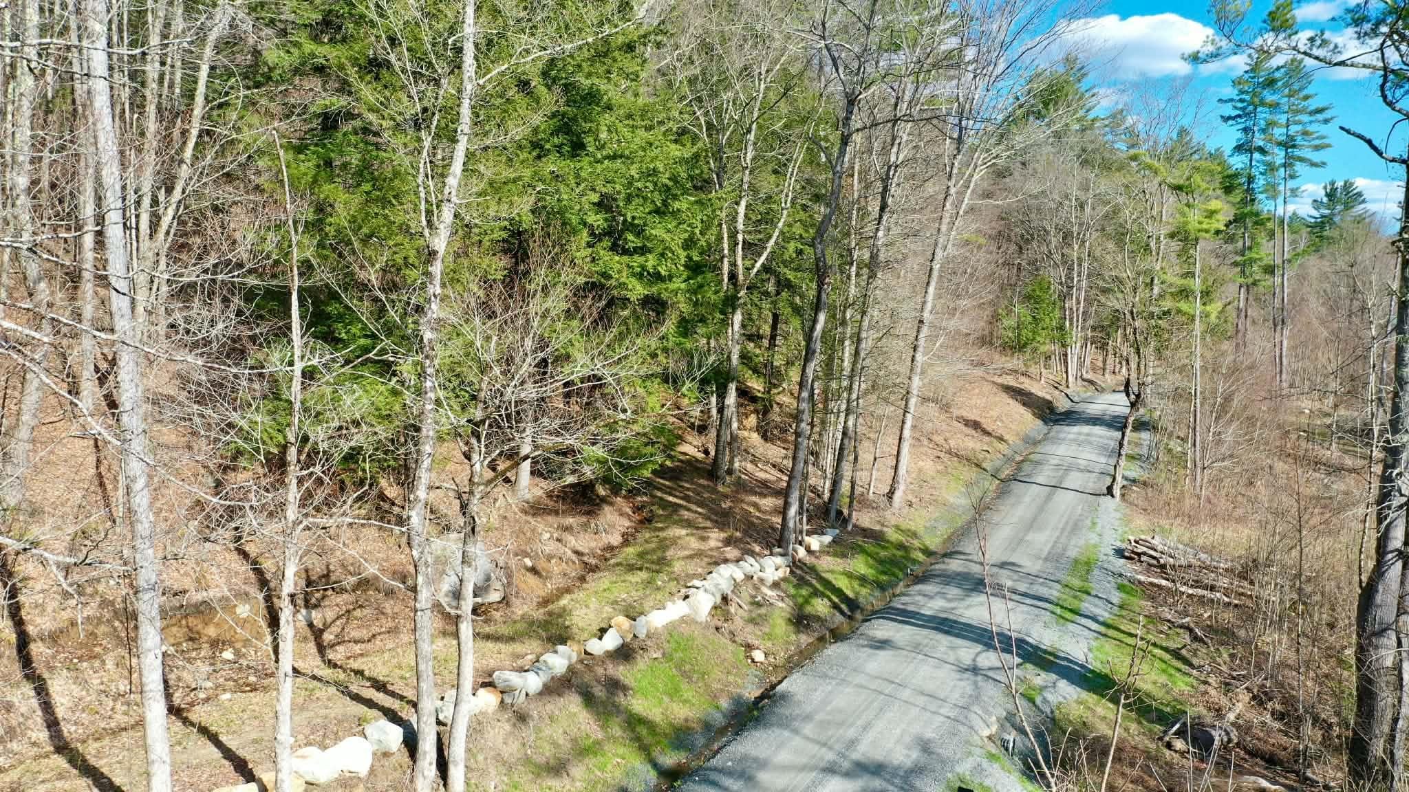 0 Turkey Mountain Road Jamaica, VT 05343 - Photo 9 of 49