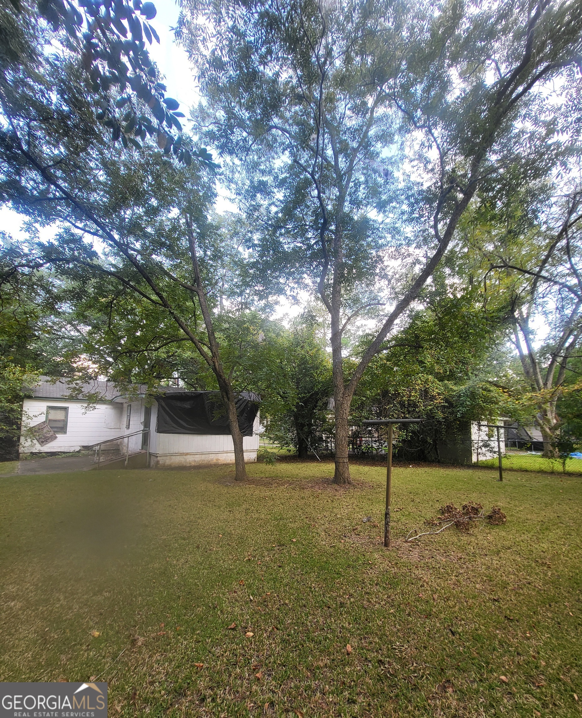 205 Collins Street Albany, GA 31705 - Photo 3 of 14 a view of a tree in a yard