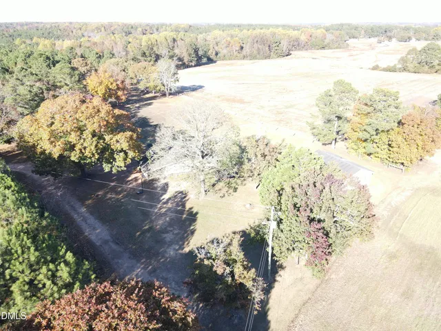 a view of dirt yard with a large tree