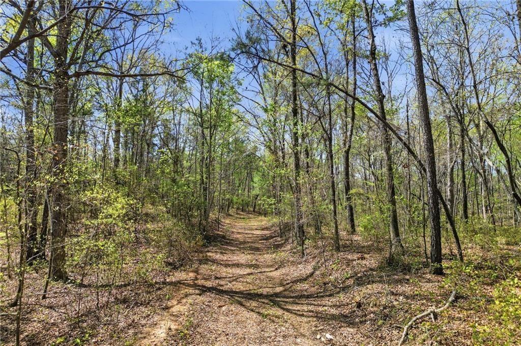 3102 Flatbottom Road Ball Ground, GA 30107 - Photo 12 of 15 a view of outdoor space and yard