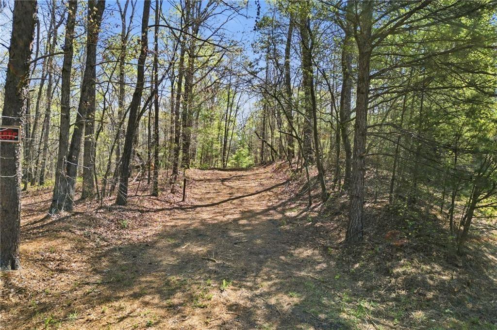 3102 Flatbottom Road Ball Ground, GA 30107 - Photo 5 of 15 a backyard of a house with lots of green space