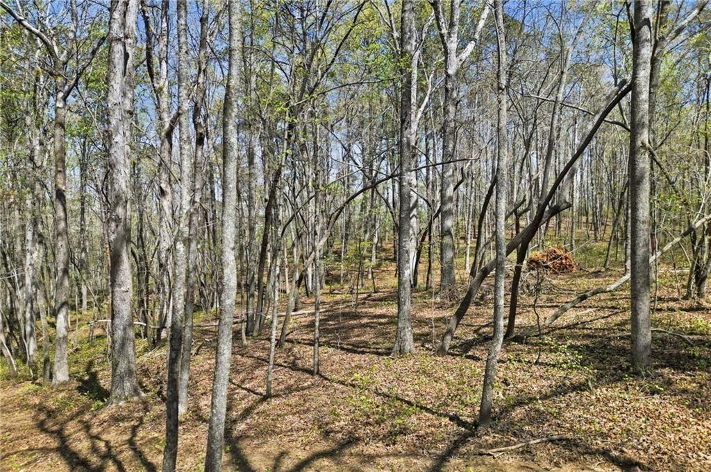 3102 Flatbottom Road Ball Ground, GA 30107 - Photo 7 of 15 a view of outdoor space