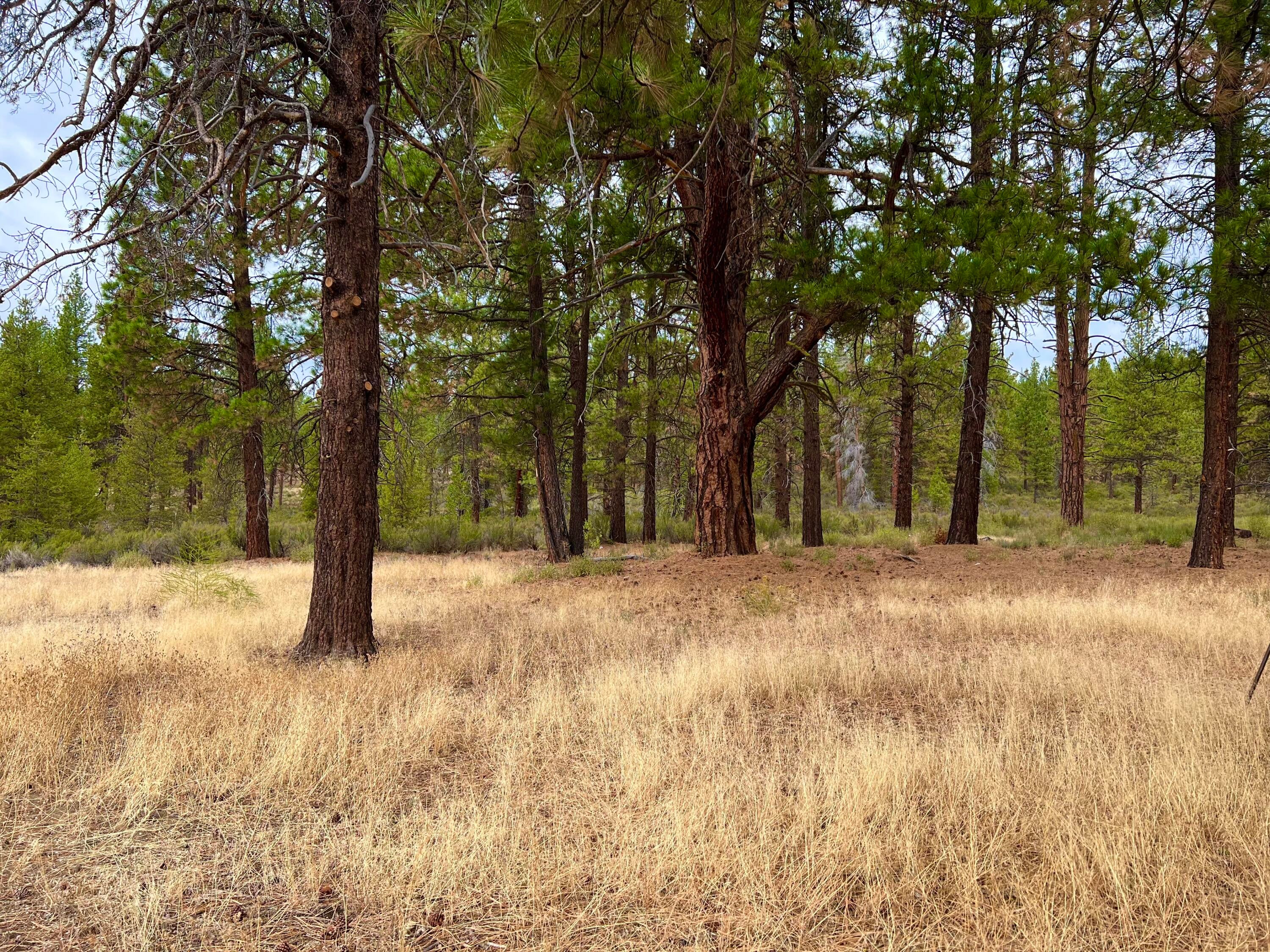 9615 Williamson River Road Chiloquin, OR 97624 - Photo 54 of 60 Property