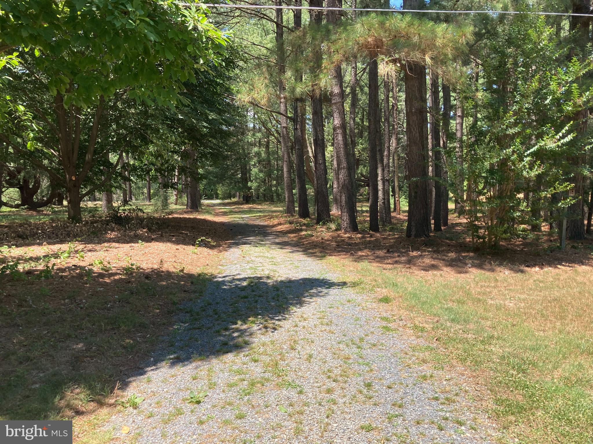 Old Trappe Road Trappe, MD 21673 - Photo 14 of 15 Driveway