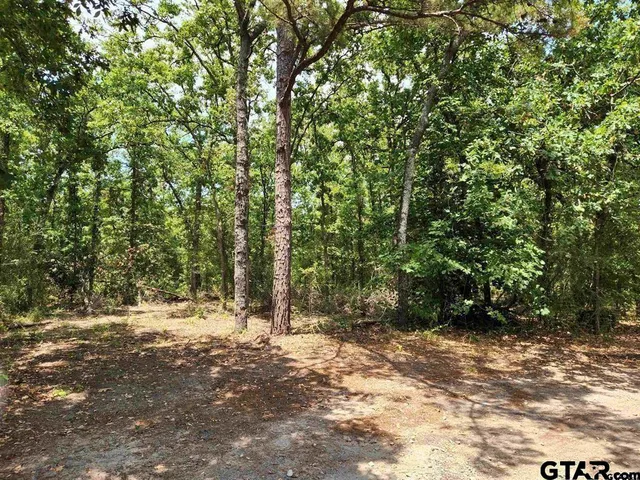 a view of outdoor space and trees