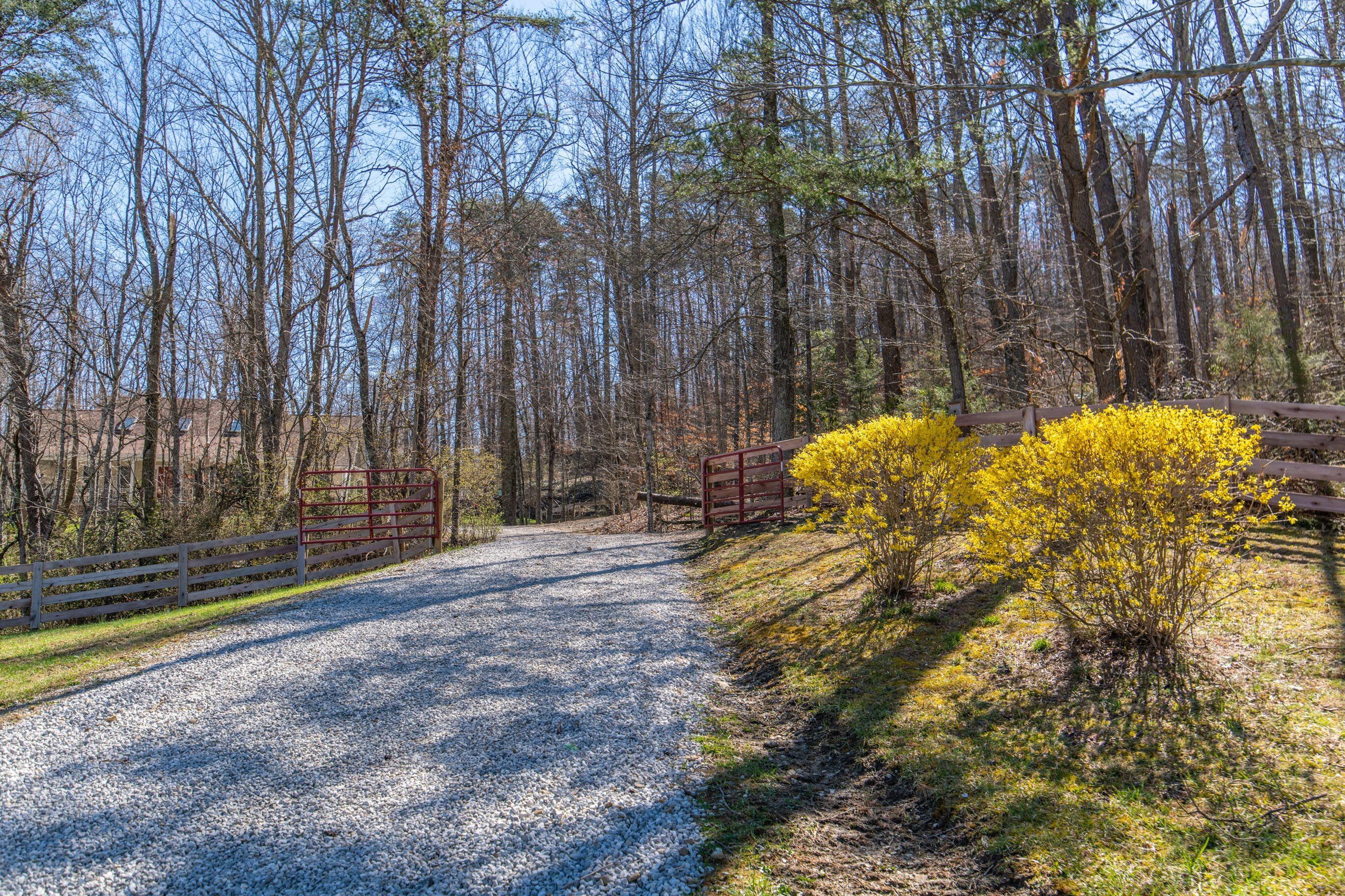 7702 Brindle Ridge Road Mount Vernon, KY 40456 - Photo 4 of 74 20210329-7702-Brindle-Ridge-Rd-chartier-