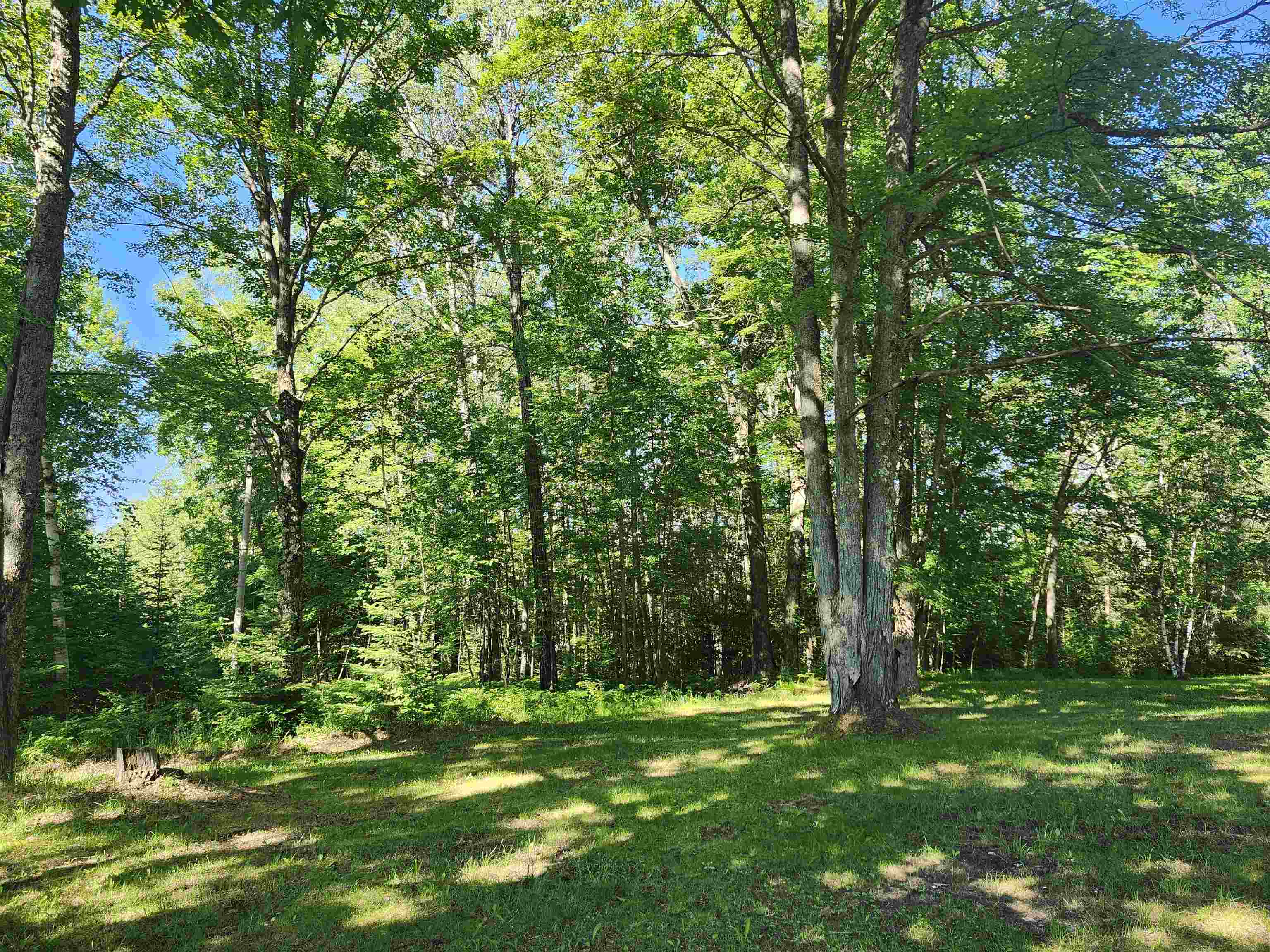 5771 Townhall Road Hale, MI 48739 - Photo 7 of 33 1947124-bd14d5c4-846d-40a8-a3ce-e97d47d90bef.JPG
