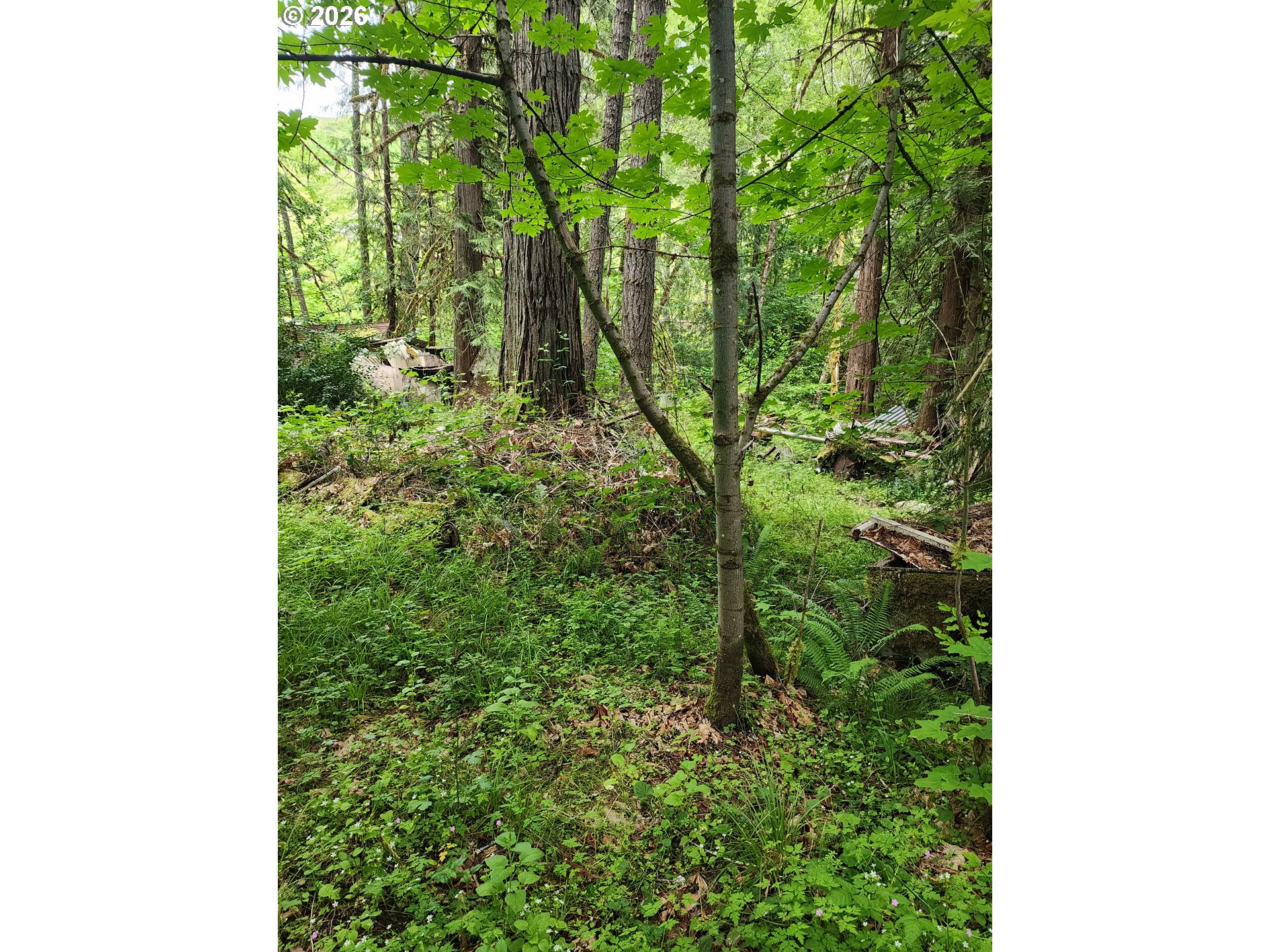 0 Louis Creek Road Myrtle Creek, OR 97457 - Photo 5 of 20