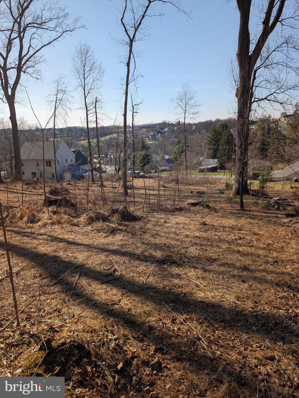 102 Chestnut Street Delta, PA 17314 - Photo 17 of 18 a view of a yard with lots of green space