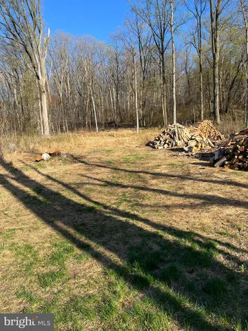 a view of a yard with a slide