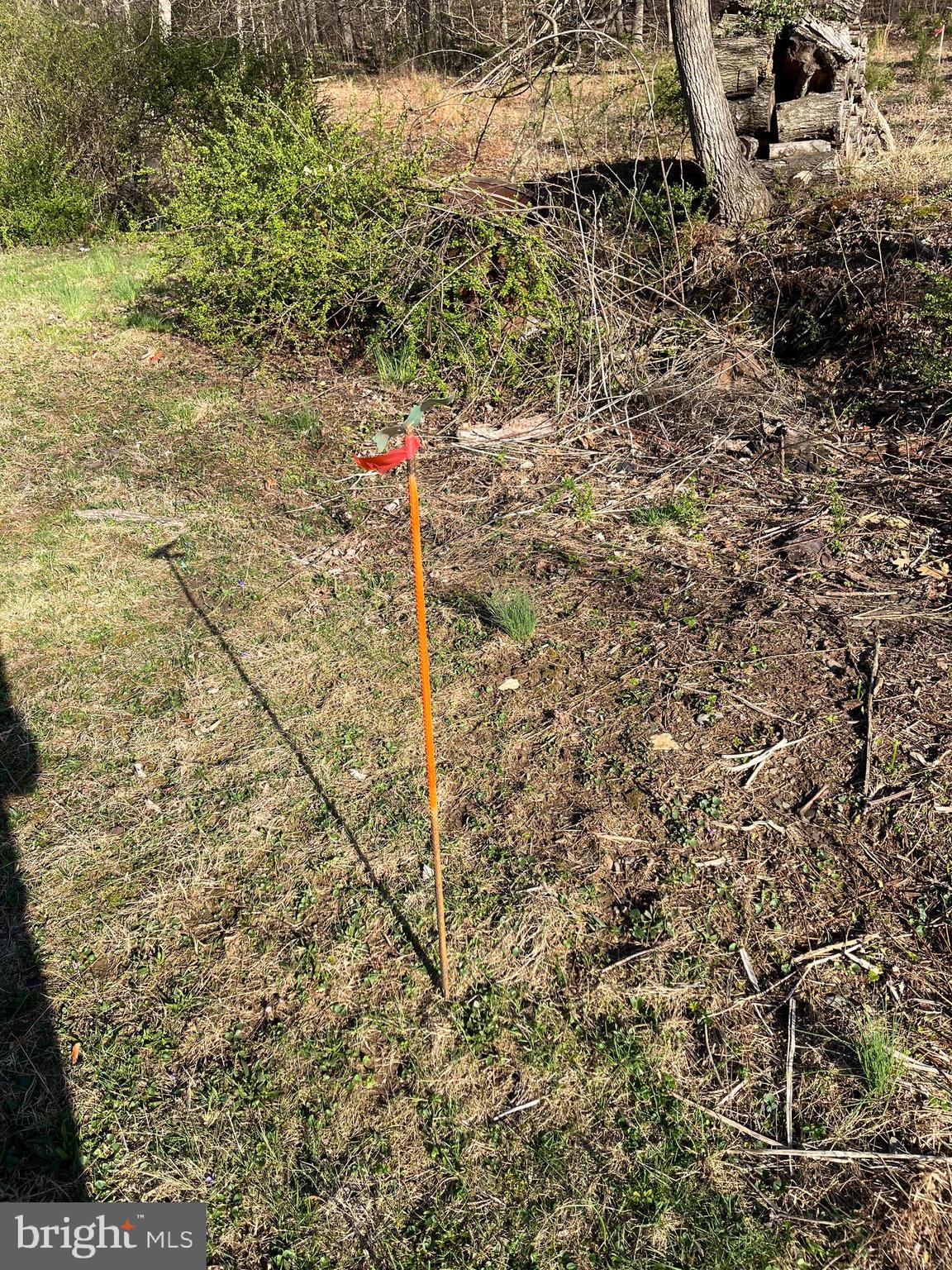 102 Chestnut Street Delta, PA 17314 - Photo 8 of 12 a close up of a plant in a yard