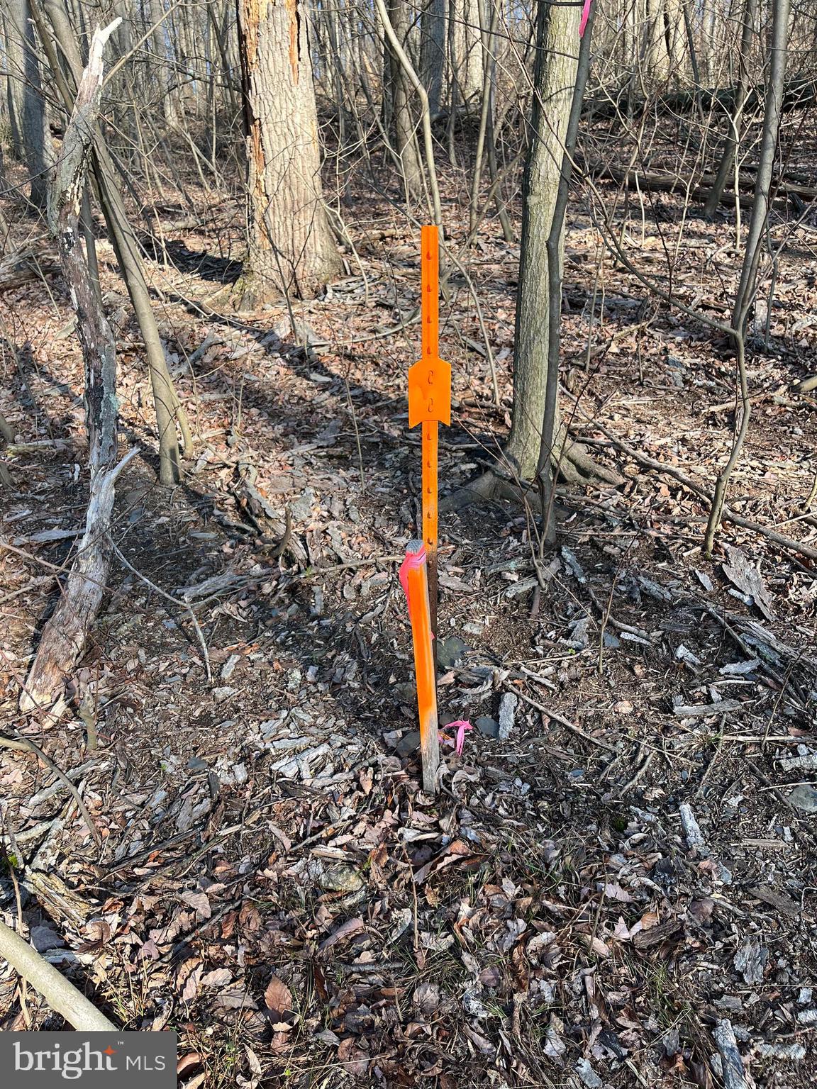 102 Chestnut Street Delta, PA 17314 - Photo 10 of 12 a flag is sitting in the middle of a forest