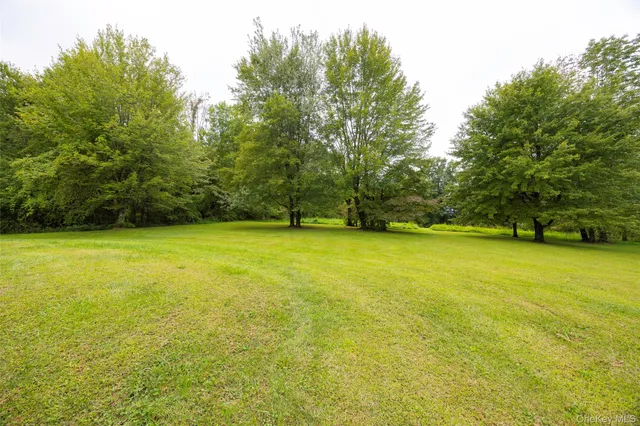 a view of yard with green space and trees all around