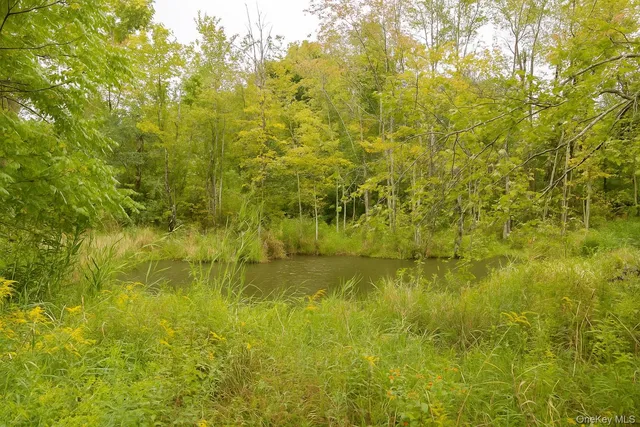 $5,500 | 2829 Highway 9G, Rhinebeck, NY 12572