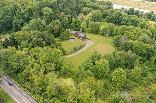 a view of a forest with a houses