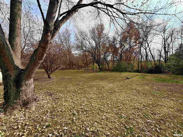 $99,500 | 416 West Shirley Lane, Richview, IL 62877