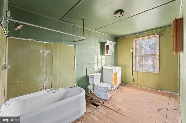 a view of backyard with tree