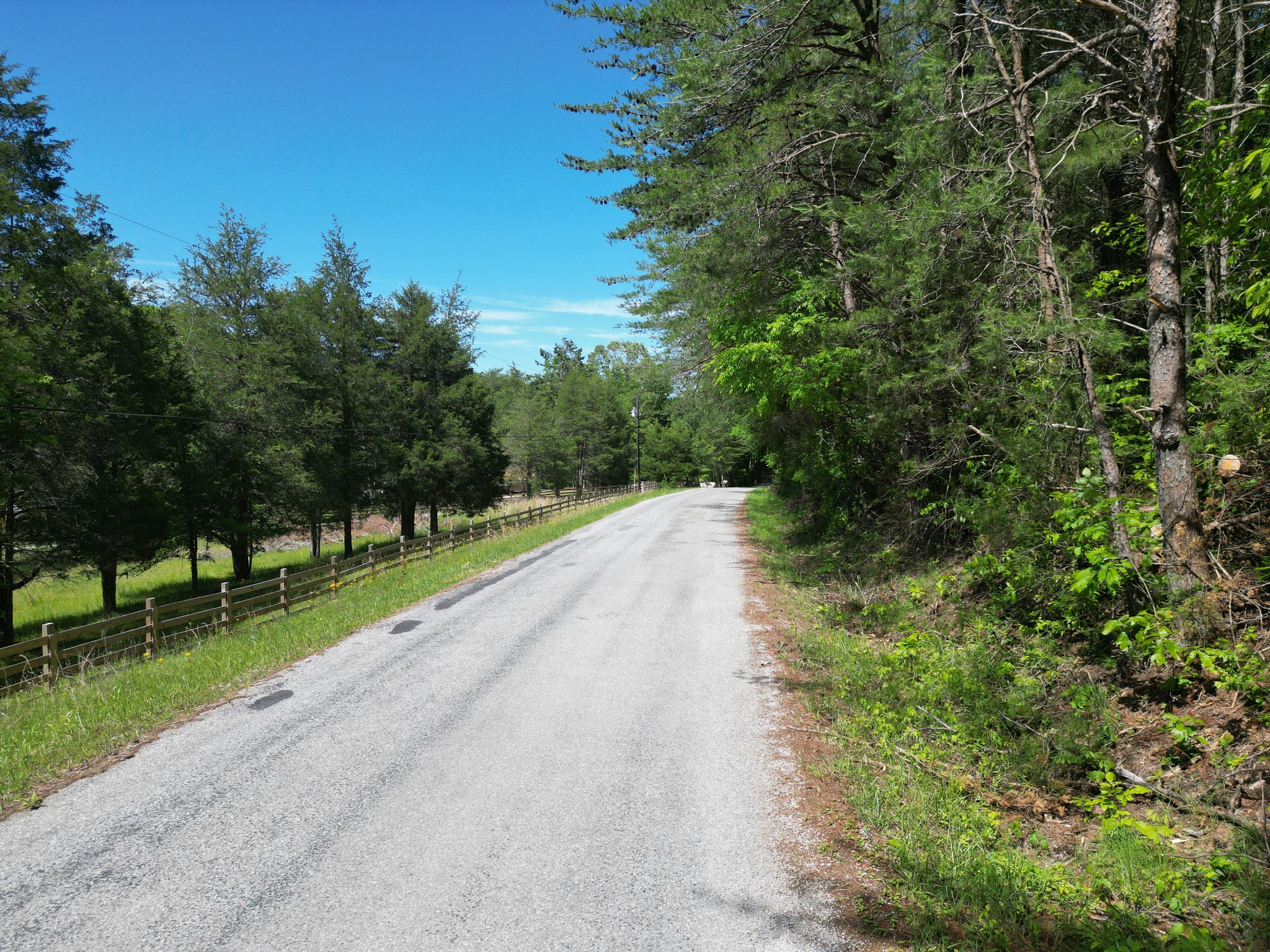 828 McCord Hollow Road Hohenwald, TN 38462 - Photo 29 of 35 a view of a road with a yard