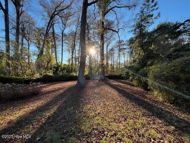 418 Forest Hills Drive Wilmington, NC 28403 - Photo 40 of 45 f418.39