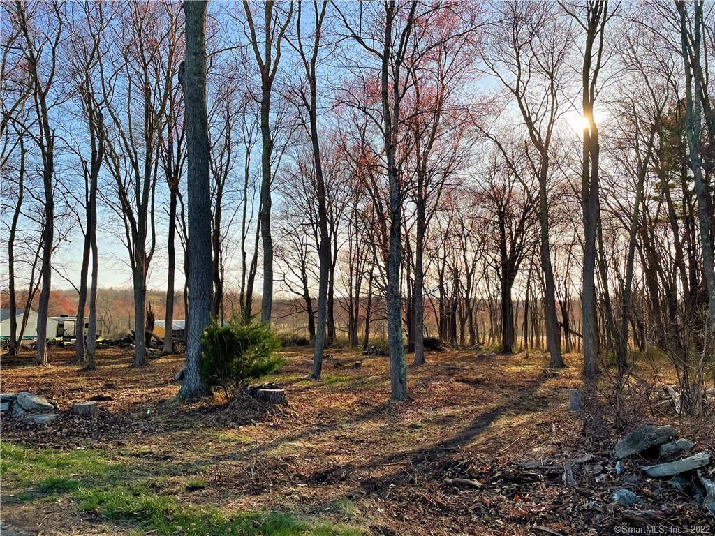 290 Orchard Hill Road Pomfret, CT 06259 - Photo 1 of 1