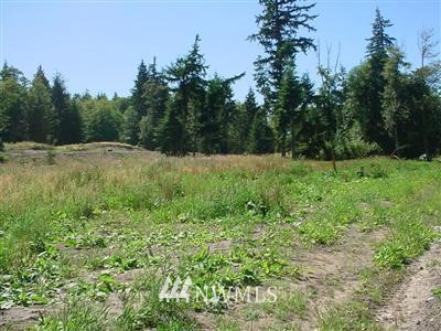 21 Watkins Road Freeland, WA 98249 - Photo 1 of 1 a view of outdoor space and yard