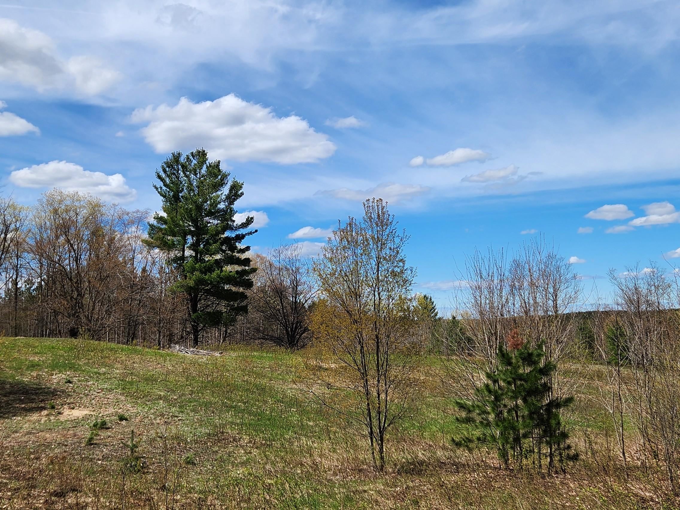 7777 Henschell Road Southwest South Boardman, MI 49680 - Photo 9 of 31
