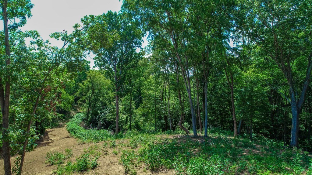 1278 Rankin Hill Road Newport, TN 37821 - Photo 15 of 28 Gallery Image 15